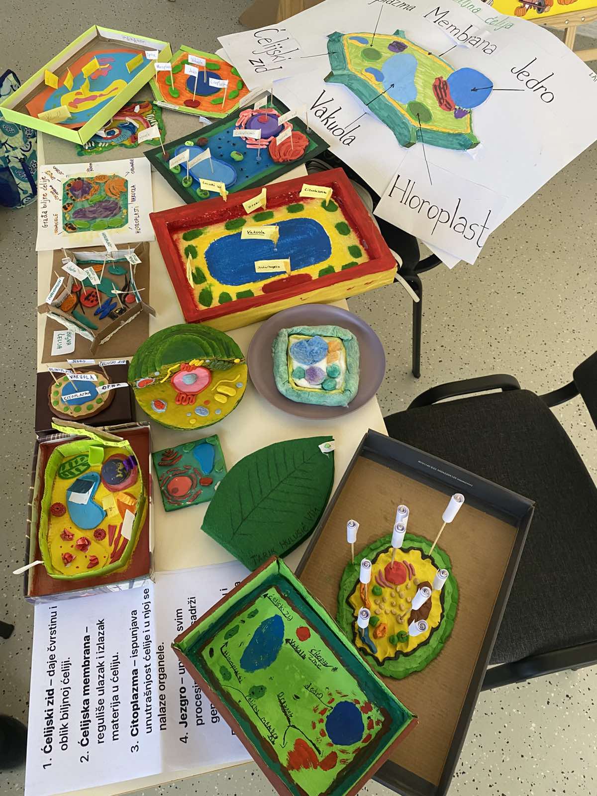 Sedmi razred u akciji!