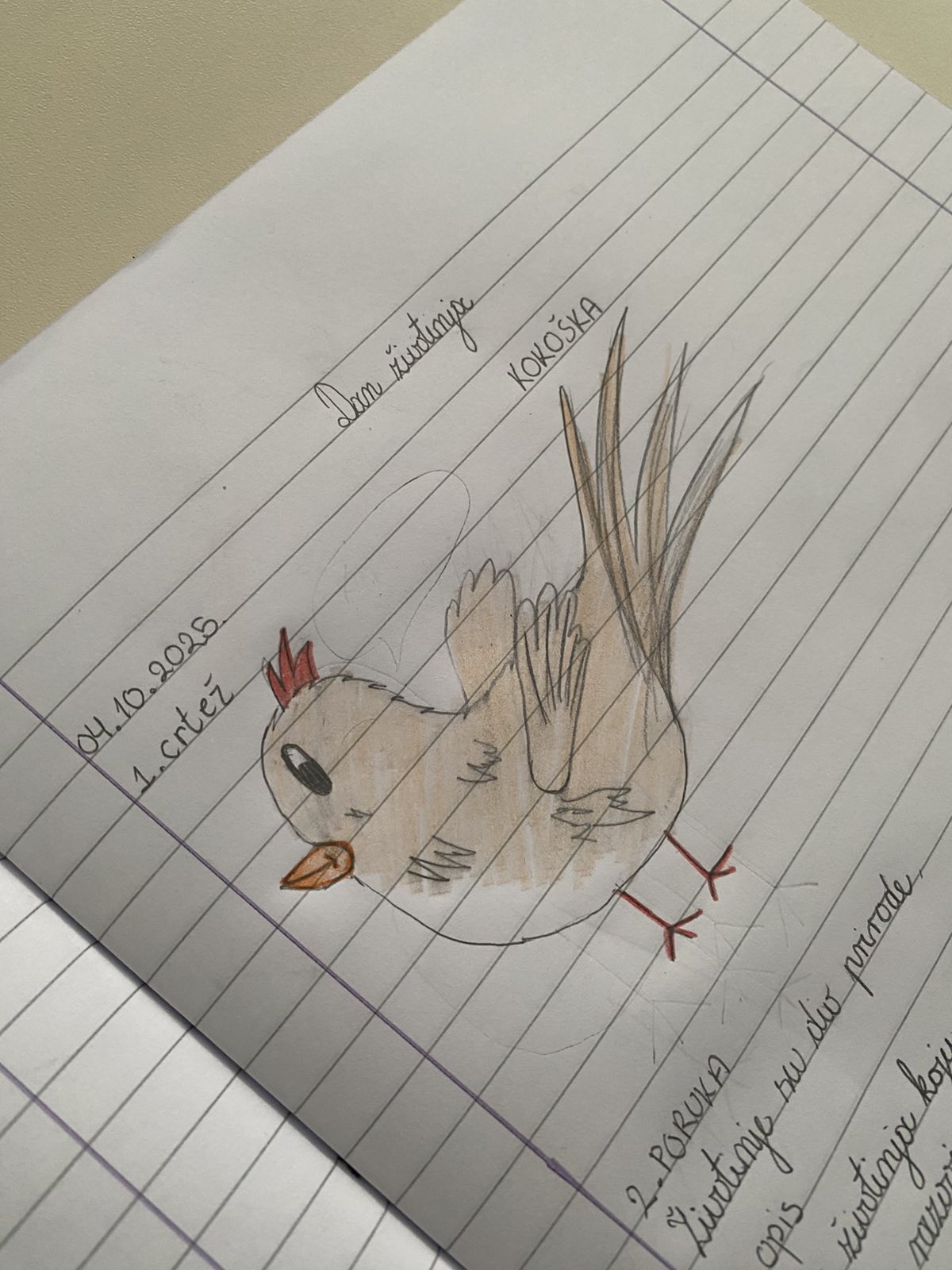 Međunarodni dan životinja