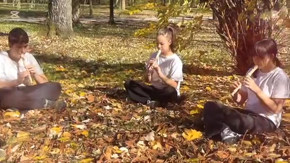 Učenici VIII razreda obilježili Dan državnosti BiH