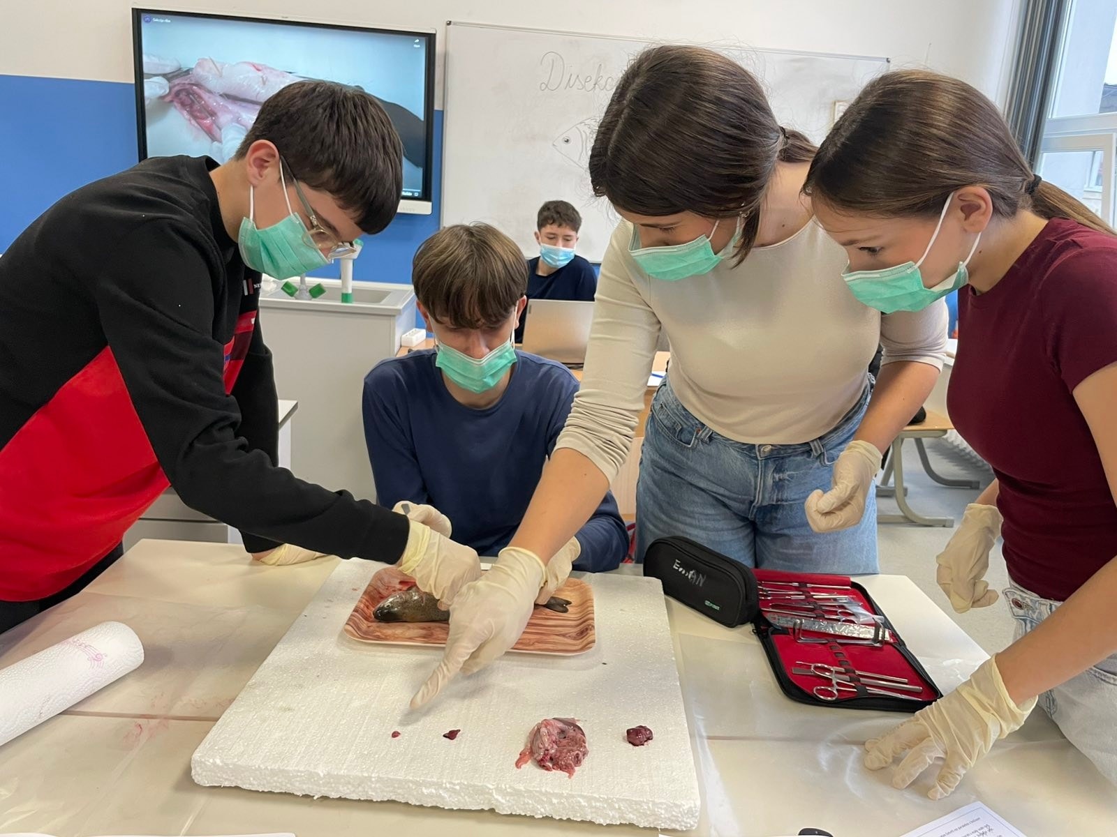 U odjeljenjima VIII razreda realizovana je praktična vježba iz biologije – disek